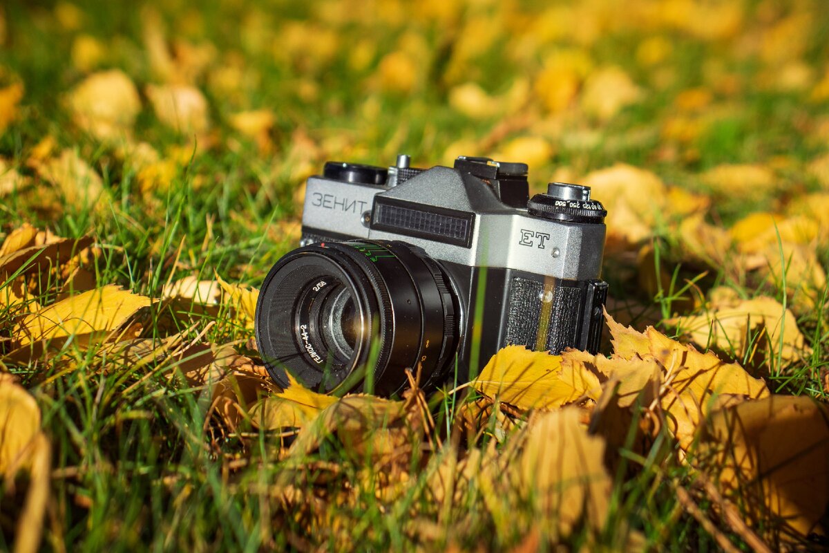 фото осень 2020