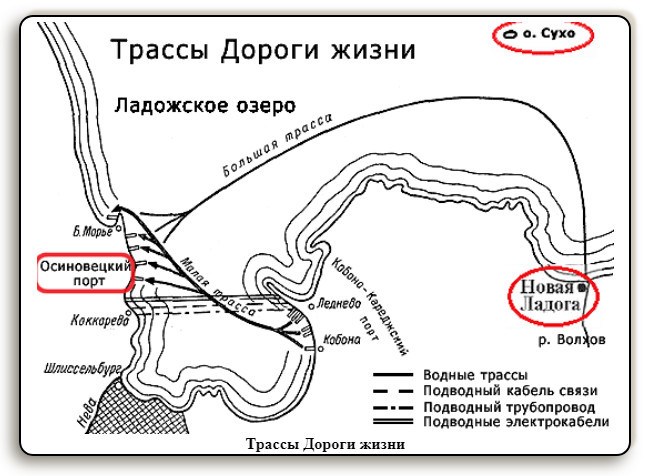 Жизнь на суше карта