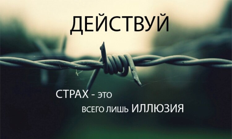 Яндекс.Картинки