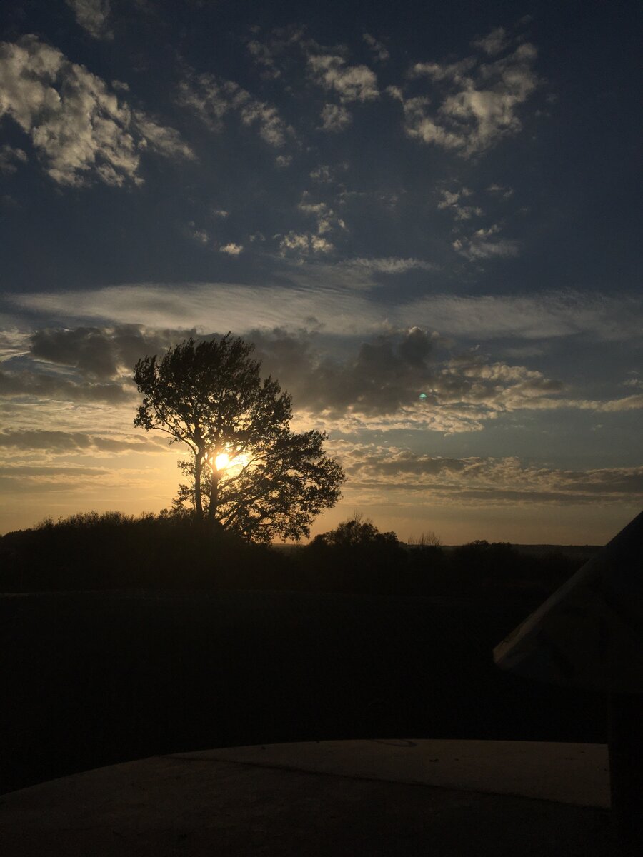 Как думаете что это?