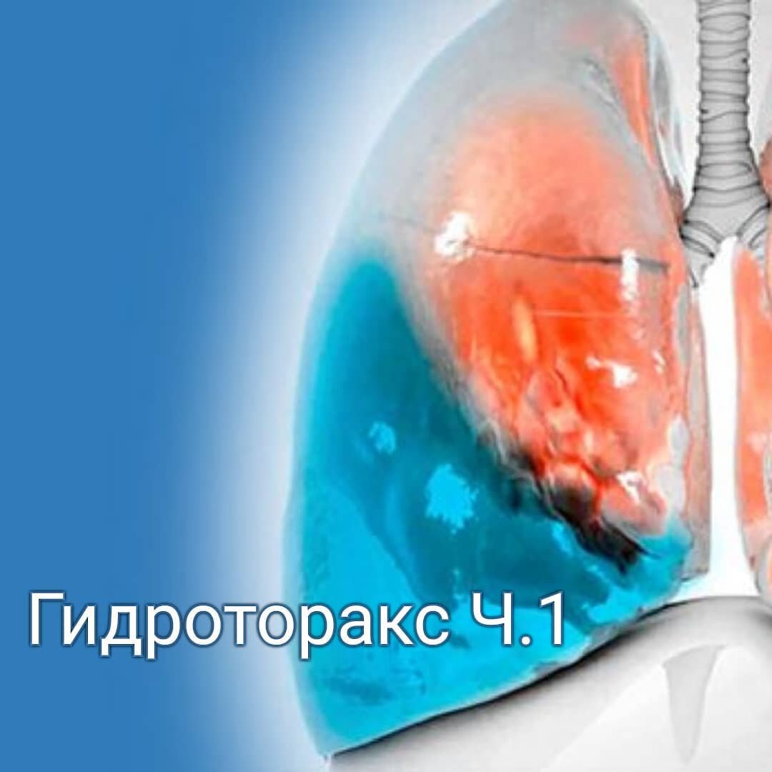 Из открытых источников.