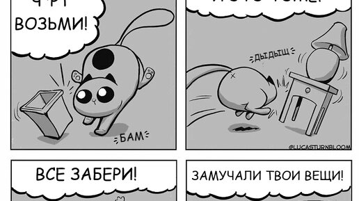 Обреченность мема: почему некоторые шутки не могут жить вечно