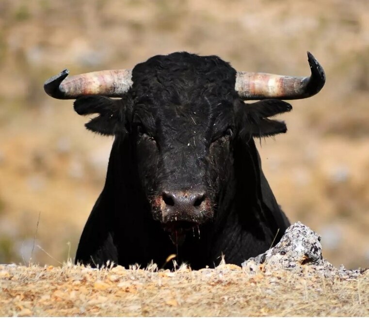 Взгляд, не дай бог 