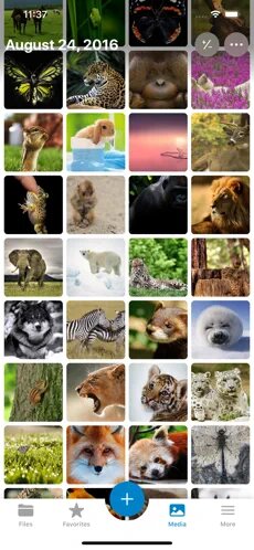 Приложение iOS Nextcloud