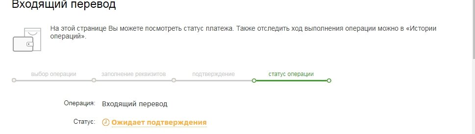 Деньги на счету. Но статуса такого я никогда не видела. Очень и очень странно...
