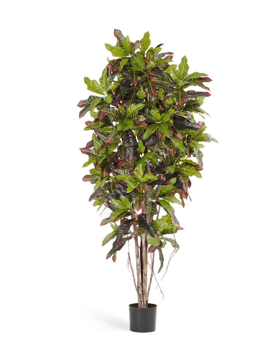 Искусственный кротон Treez Collection. Бывает разных размеров от 120 до 230 см.
