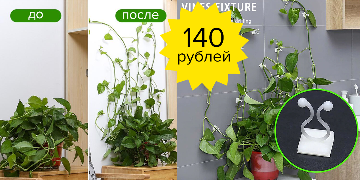 Цена без скидки 29,87 руб.
