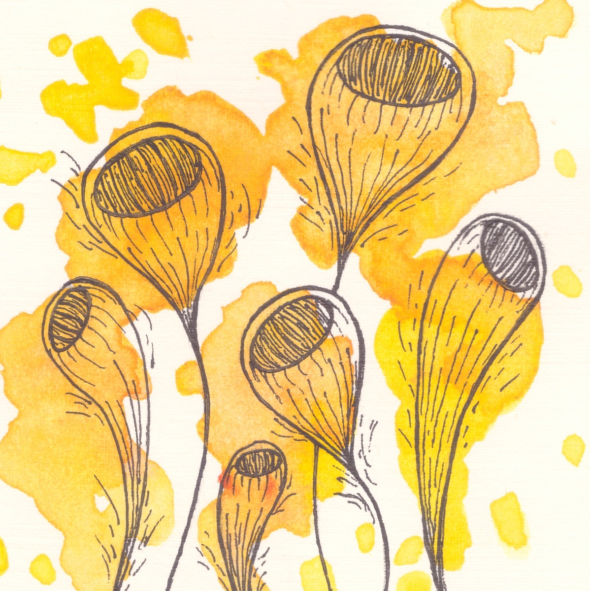 Рисунок автора