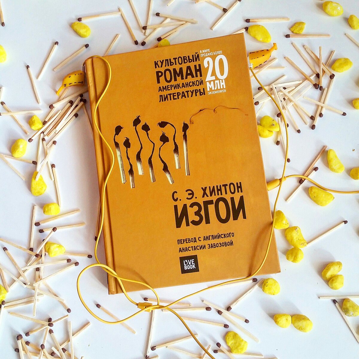 Фото книги livelib