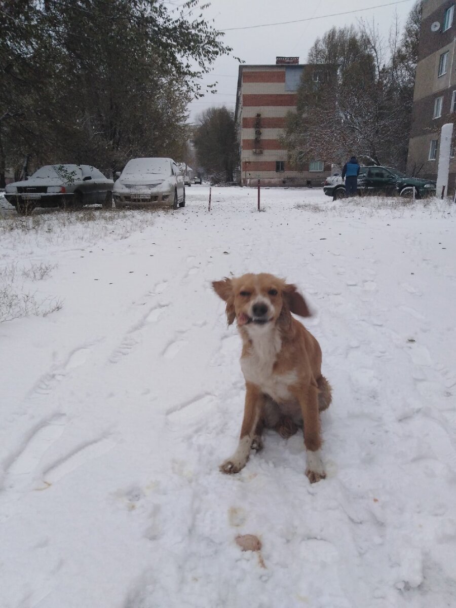 Вот так и жила... Кто-то угостил куриной лапкой