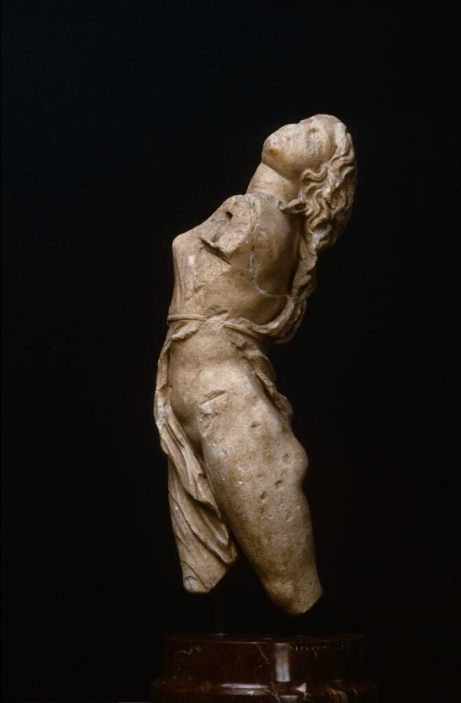 «…чья грудь, опьяненная вакховым соком, шкурами скрыта зверей… с волосами, взвитыми ветром». Овидий. 