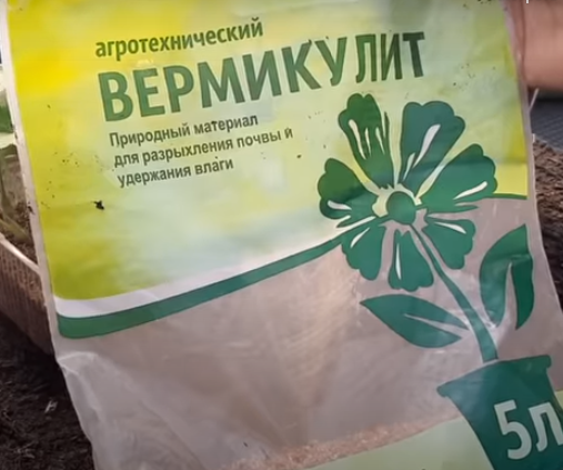 Идеальный вариант почвы для черенкования