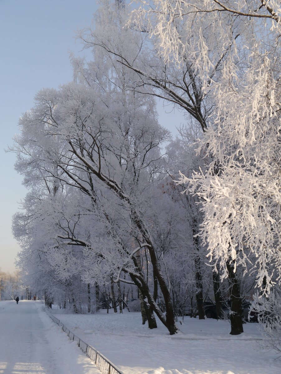 ул. Чекистов Красносельский район Санкт-Петербург