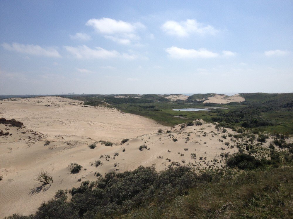 Трейлы в национальном парке Zuid Kennemerland