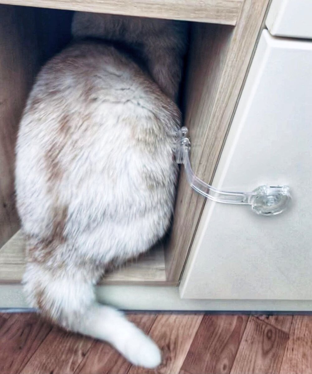 Вот так коты обычно и прячутся)))