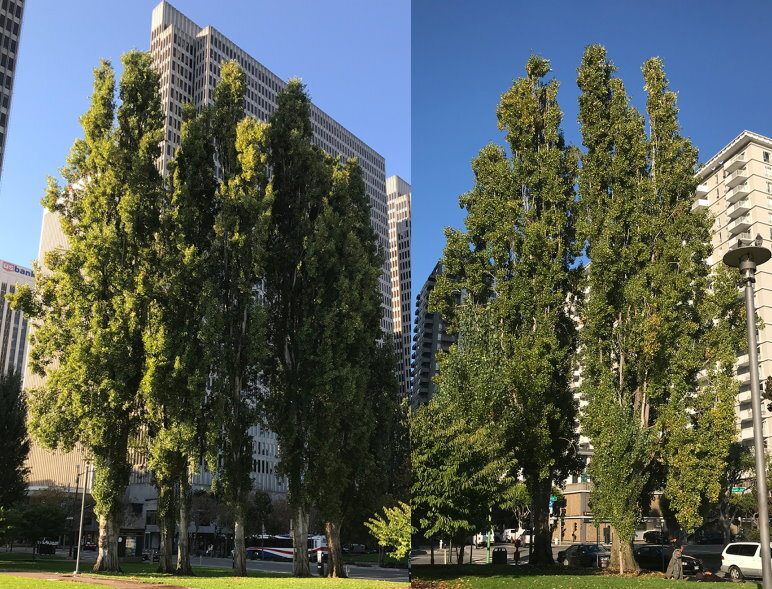 Фото взято из открытых источников