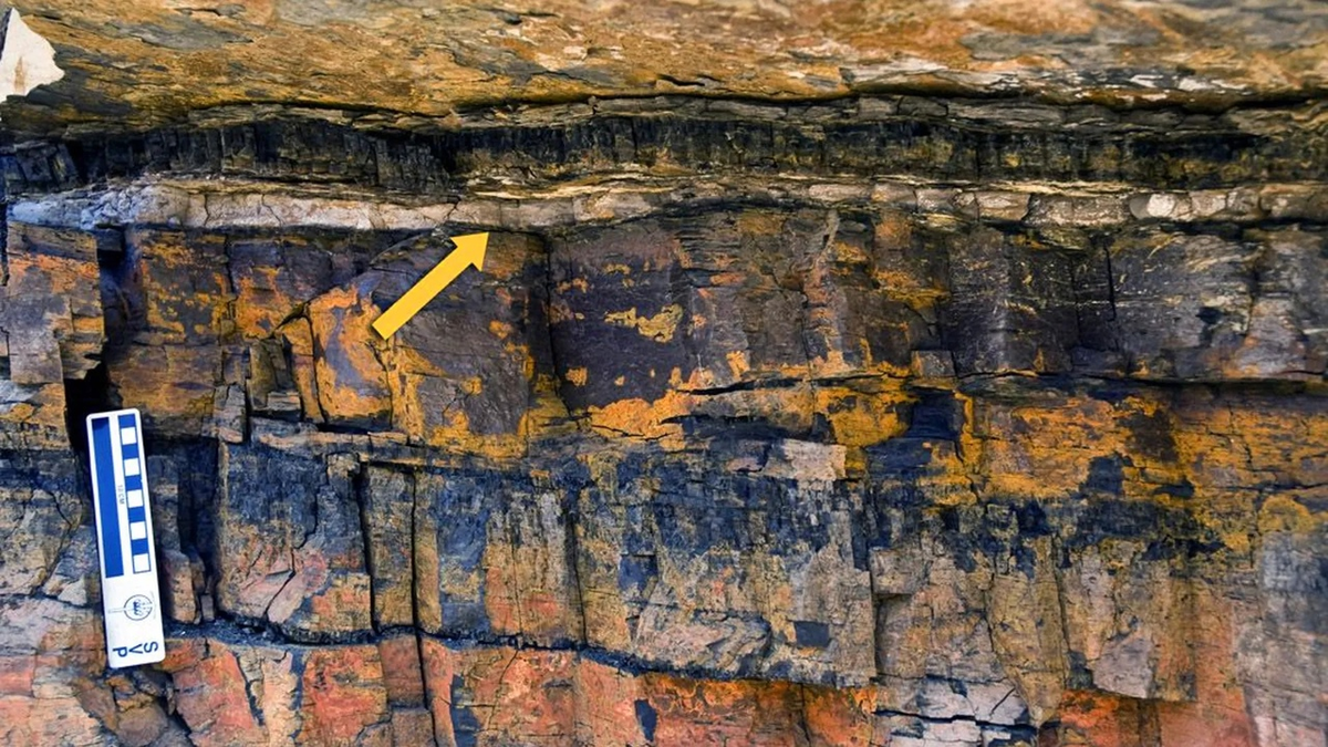 Складчатое залегание горных пород. Громовая плешь. Геологический срез. Пласты прошлого. Угольный пласт в разрезе.