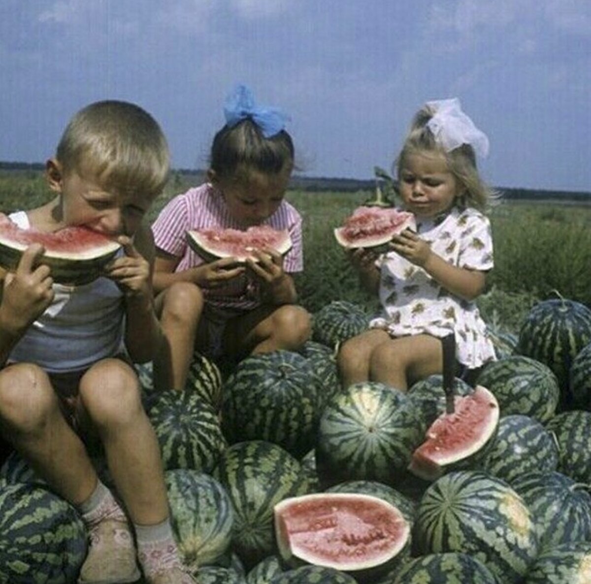 Фото: Privately.ru