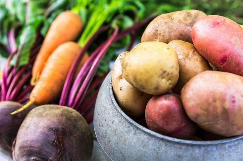 Хранение овощей в домашних условиях