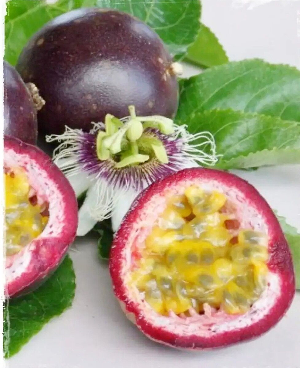 Фото: pinterest.ru