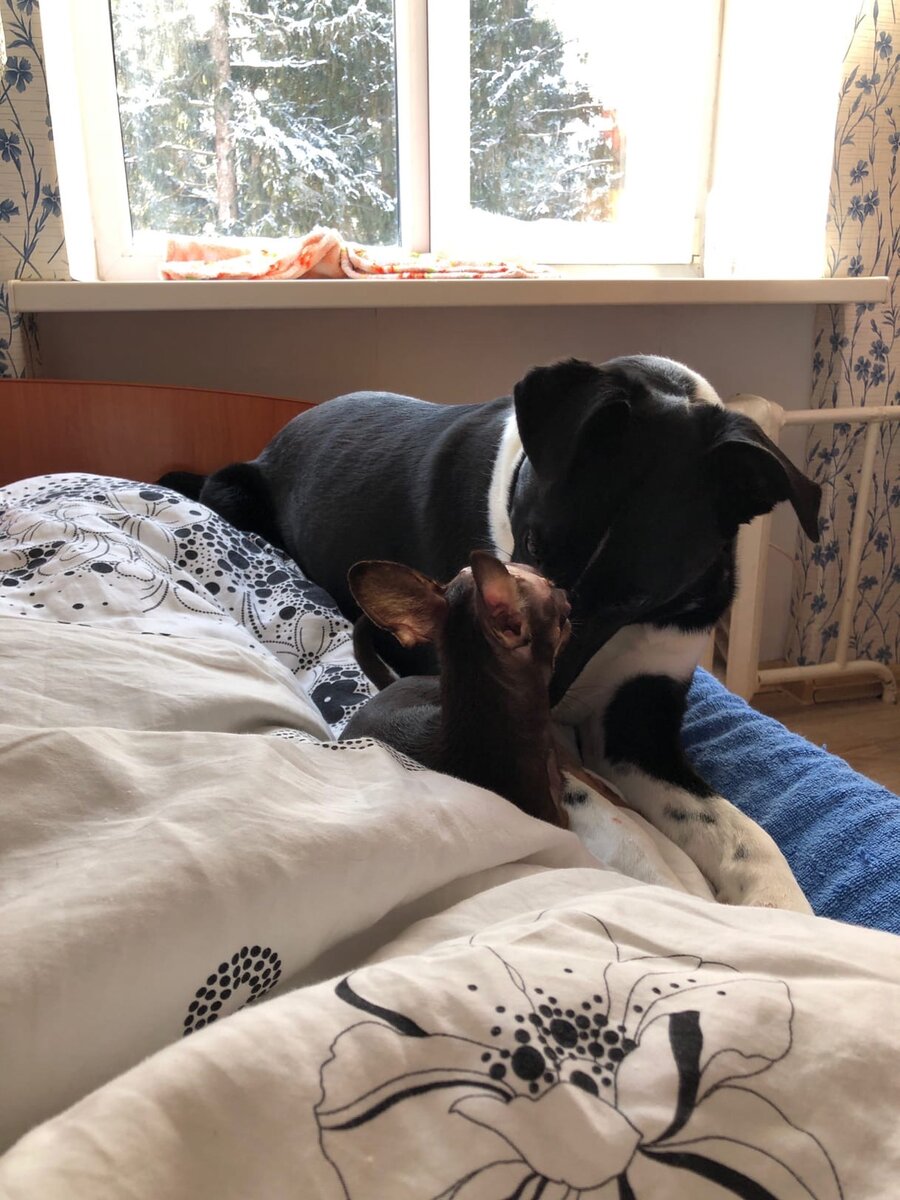 нежные обнимашки-целовашки от Патрика