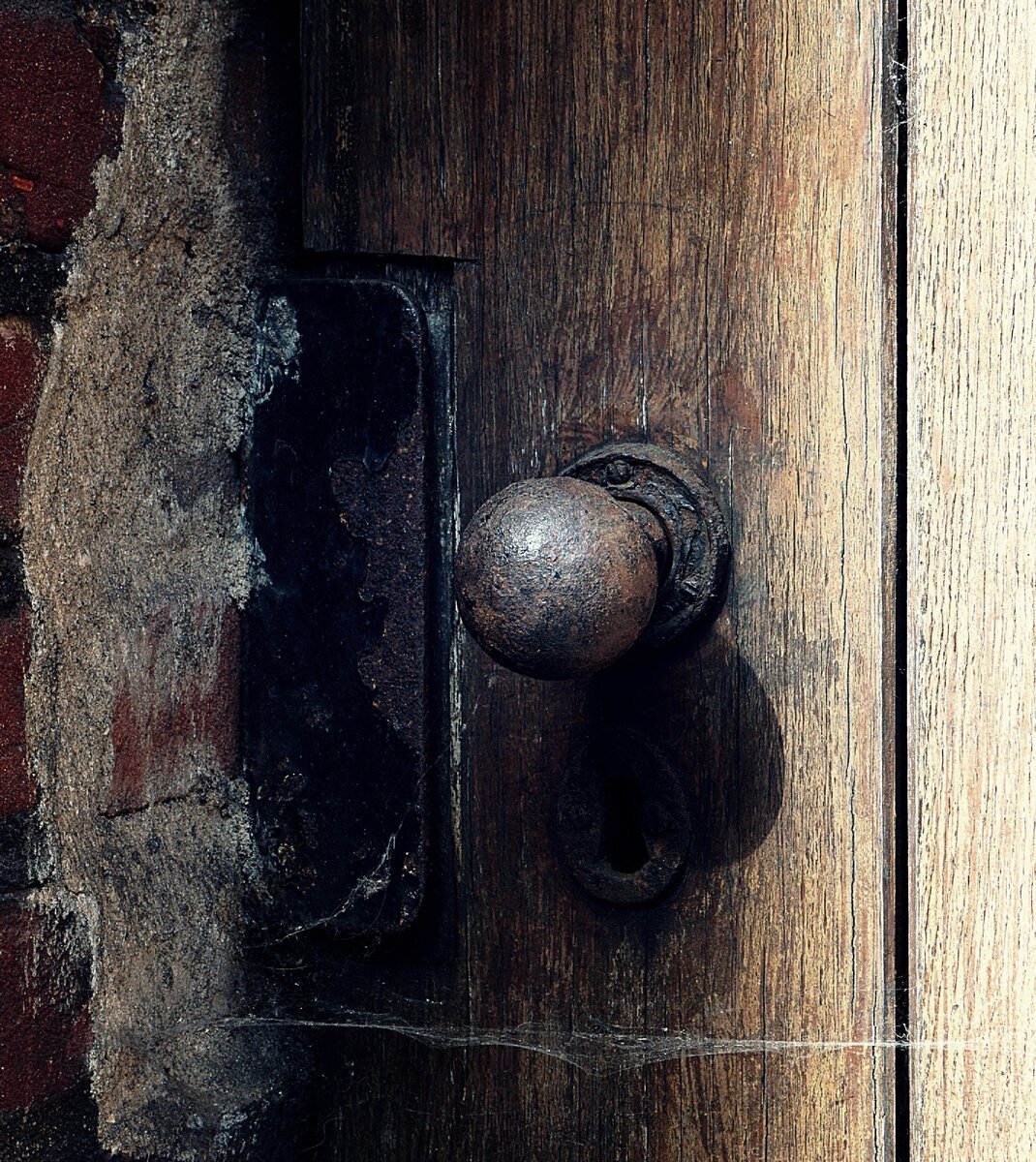 Фото Suzy Hazelwood