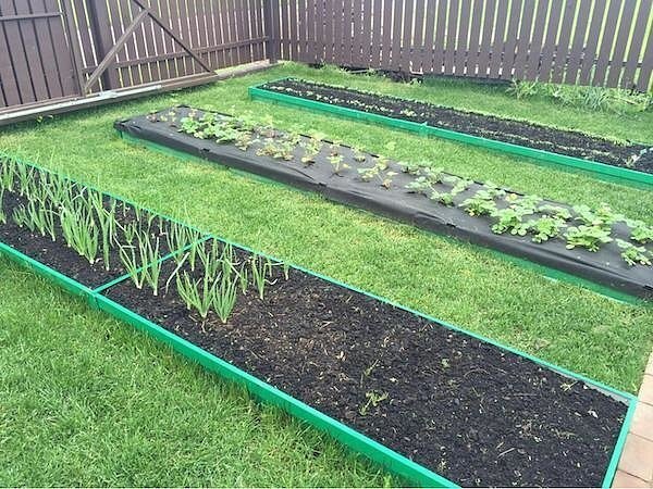 Фотография взята из источника poumu.su