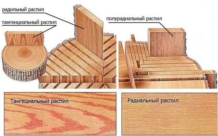 Картинка из открытых источников 