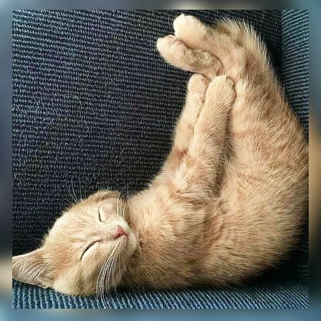 источник - Яндекс. Картинки.