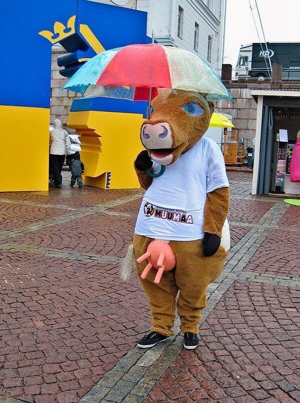 Из открытых источников Яндекс