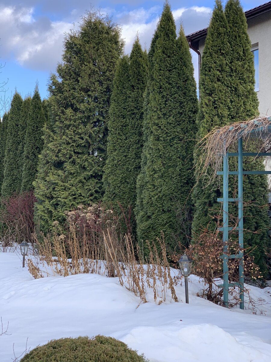 Вид на большой миксбордер, цветник и часть беседки