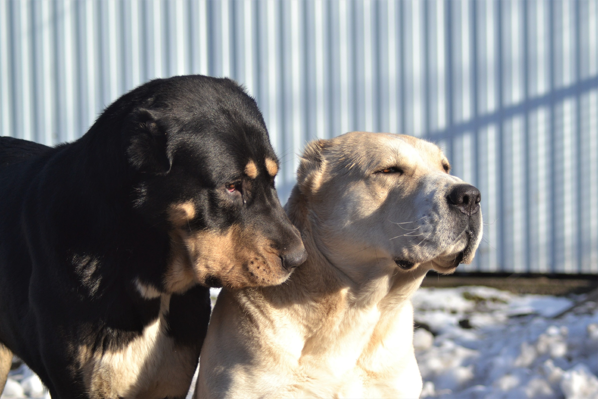 фото из личного архива
