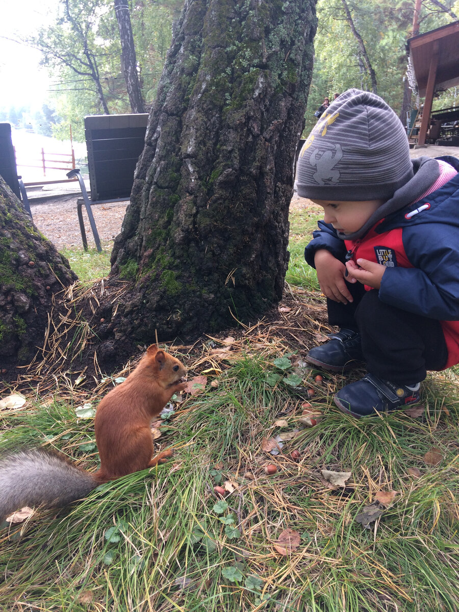 Кормим белочку.