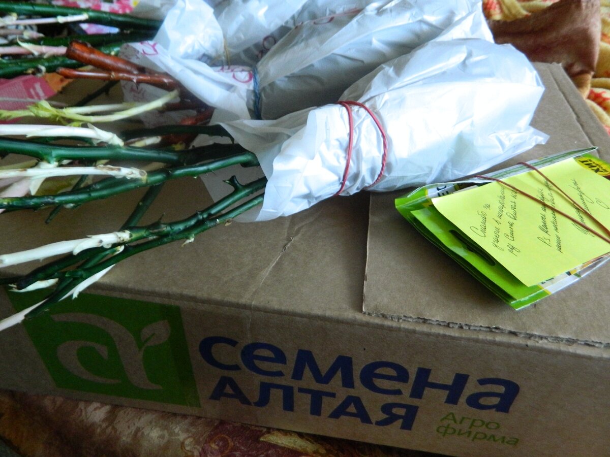 Посылка от фирмы Семена Алтая
