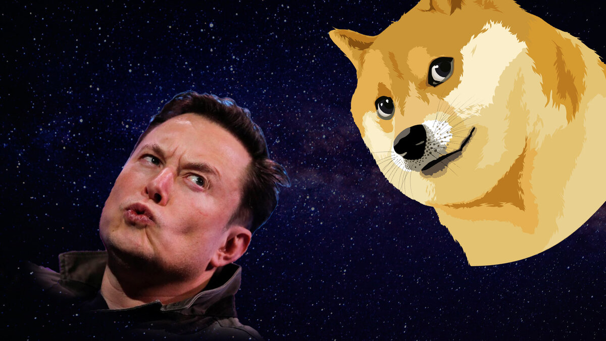 В собаке сила Маска, и она смотрит на тебя