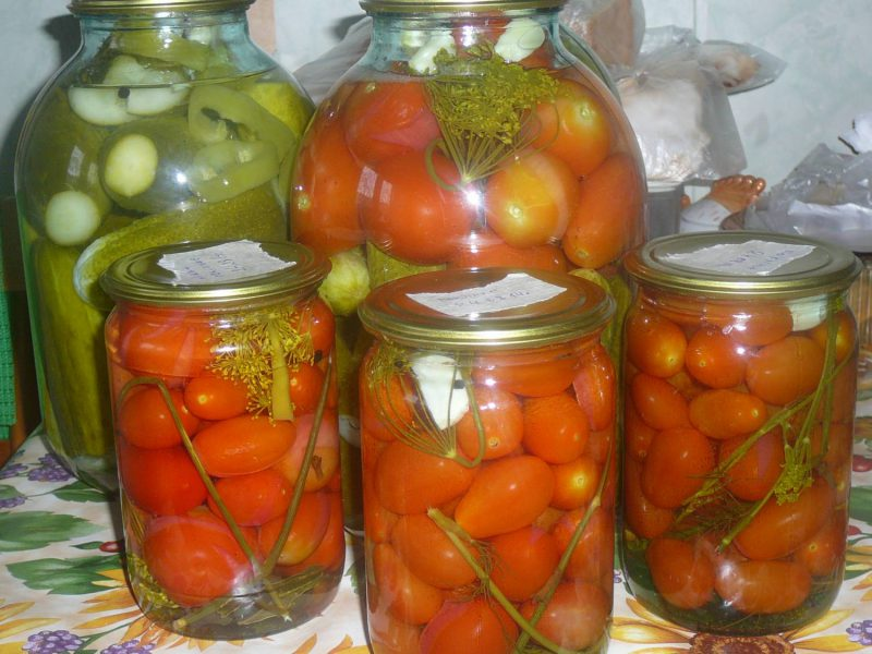 Яндекс картинки