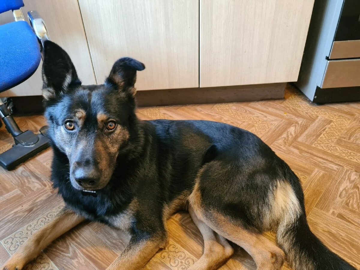 Купер дома)