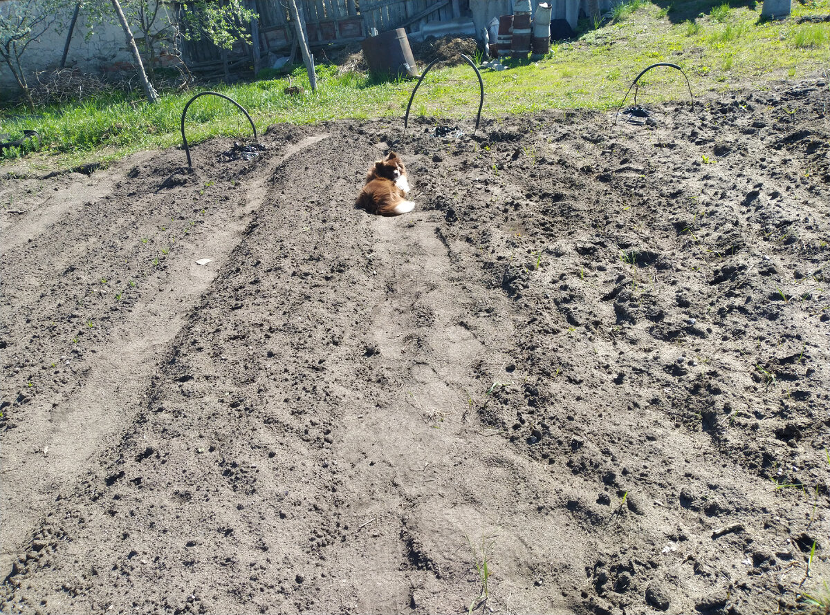 И как всегда с охраной