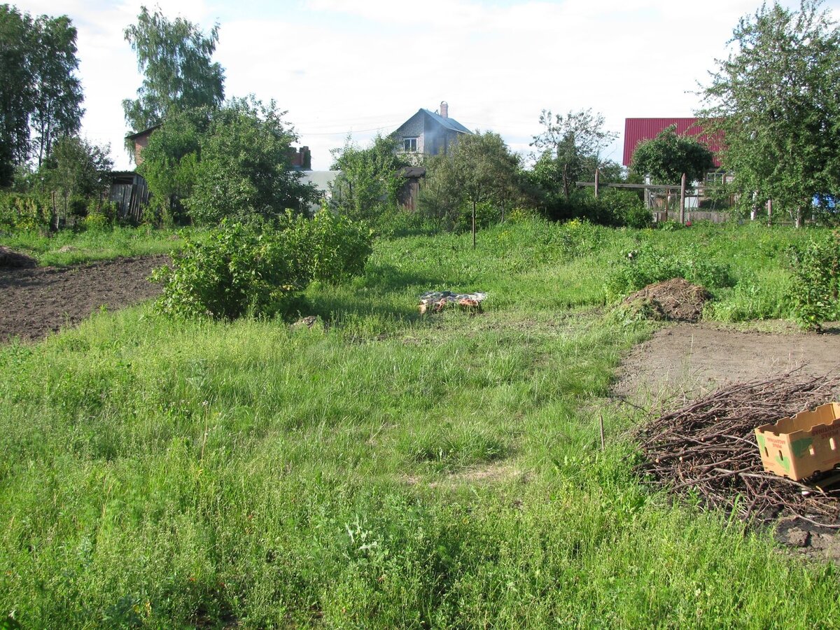 Это мы уже облагородили слегка свой участок, самый страх и не засняли.