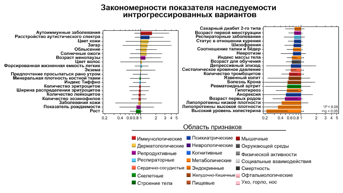 Вклад неандертальцев в ДНК современных людей. Группы крови неандертальцев и  денисовцев | Археология, история, генетика | Дзен