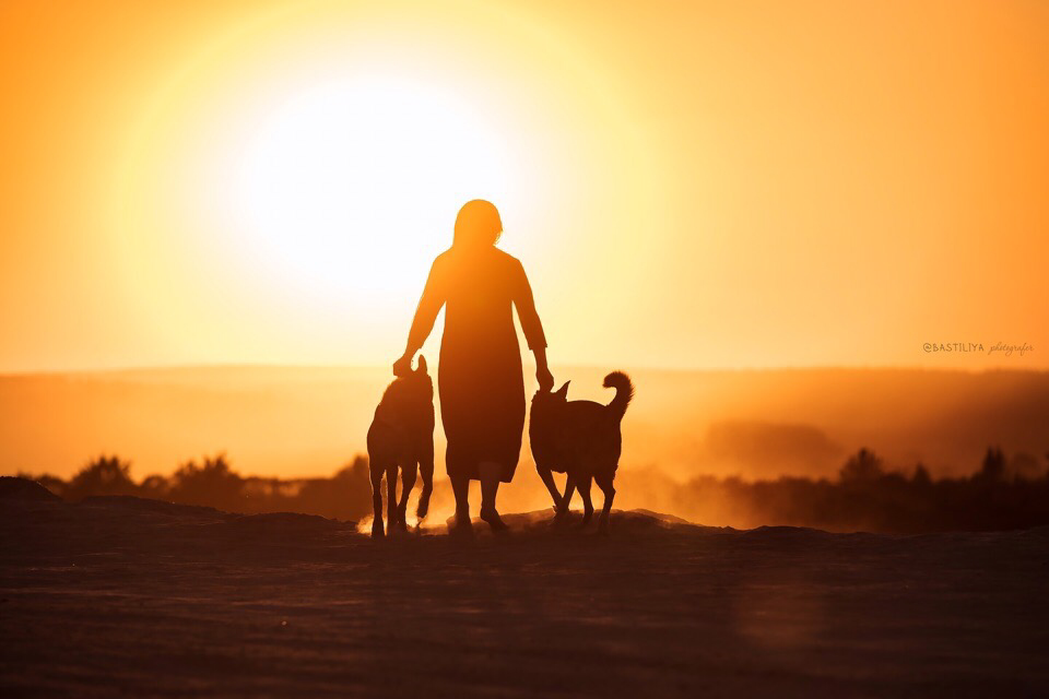 Лето - маленькая жизнь. И самое приятное время для прогулок со своей собакой.  🐾 Отправьтесь в маленькое путешествие.