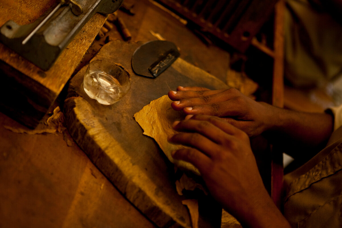 Процесс изготовления сигар