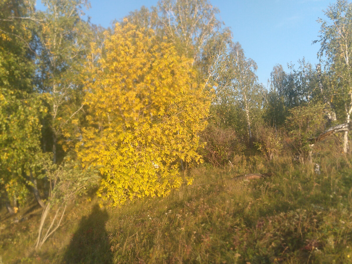 Осень в Аязгулово. 
