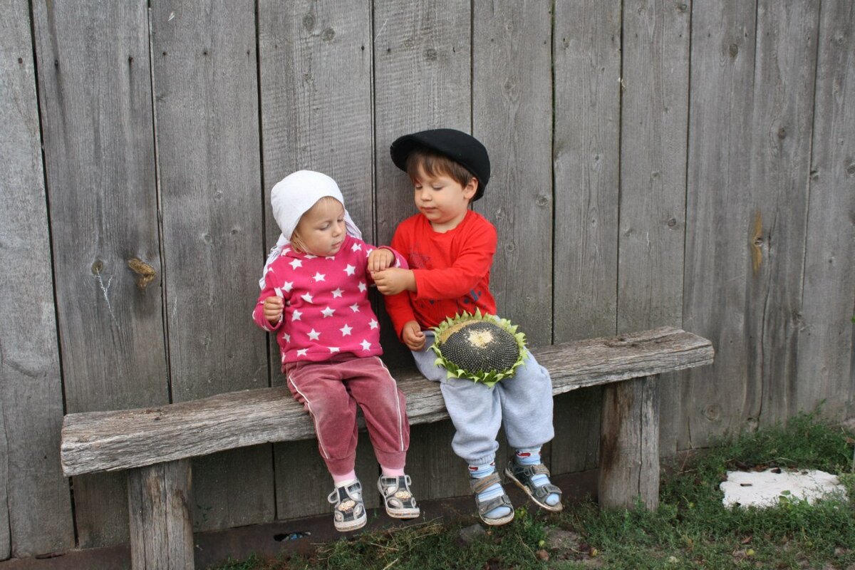 фото из открытого источника яндекс.картинки