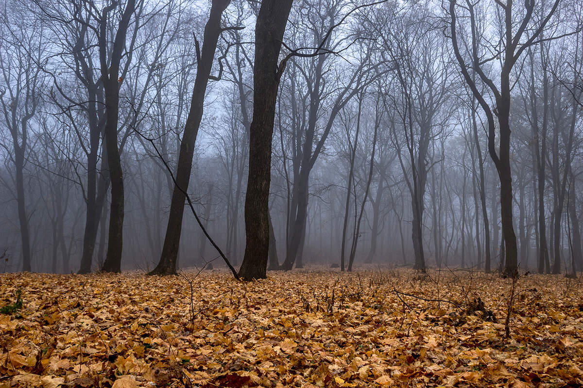 Поздняя осень