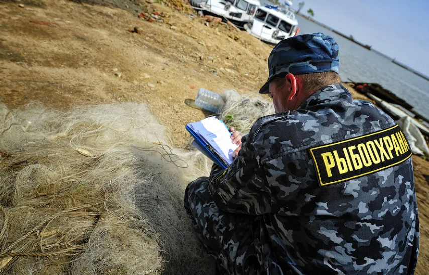 Инспектор рыбнадзора может досматривать ящик и автомобиль. Не нужно ...