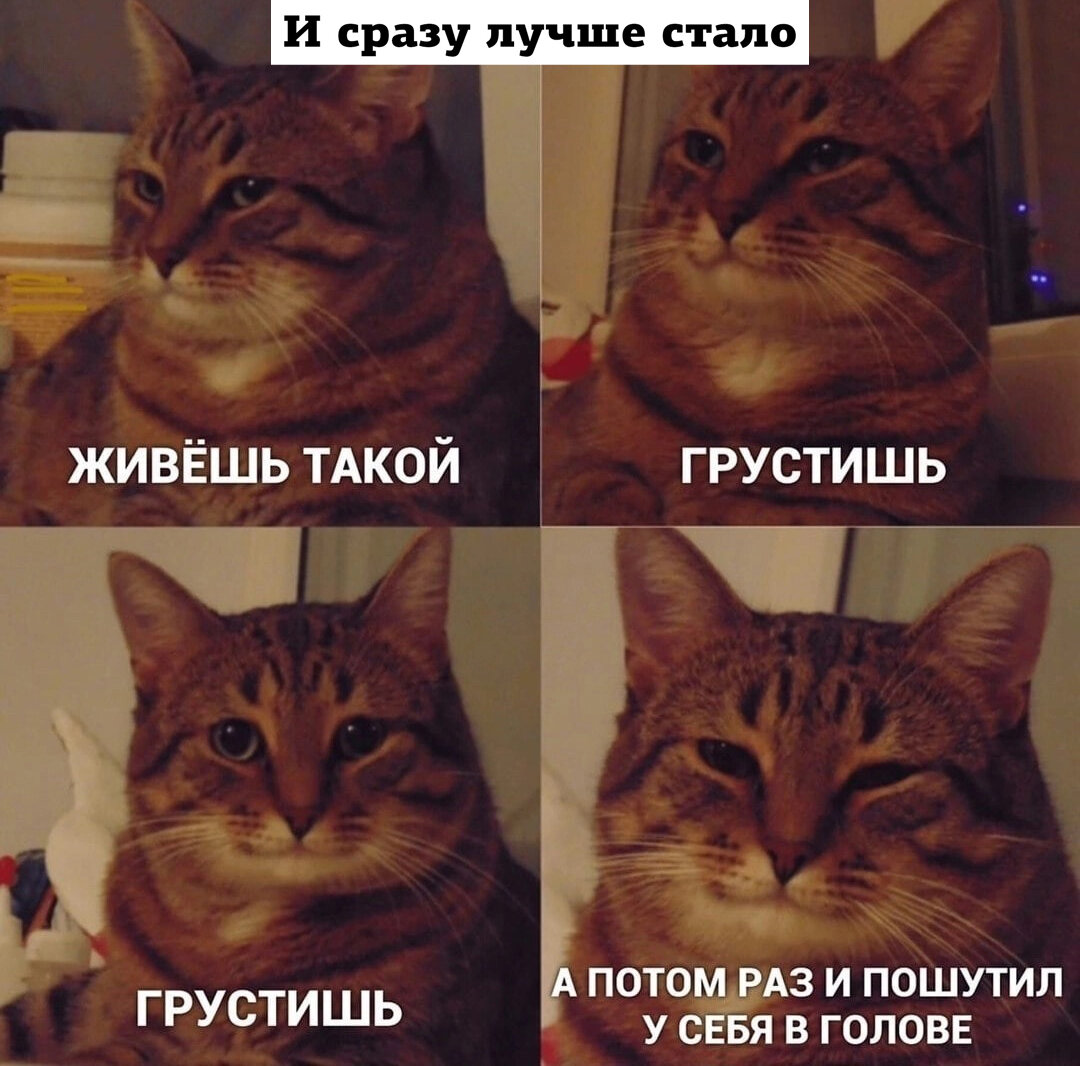 Фото с просторов интернета