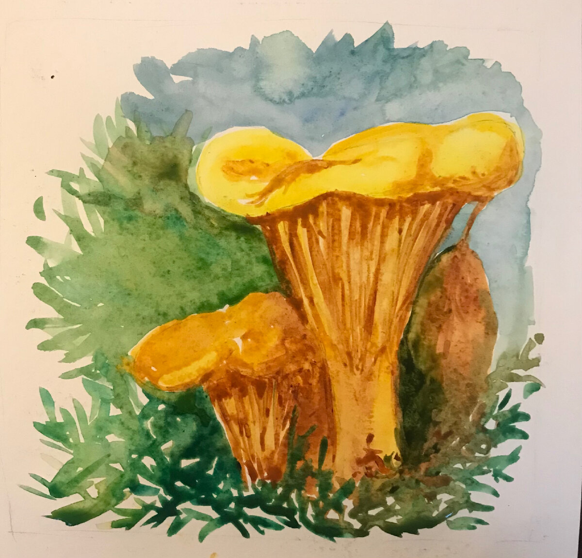 Акварель. Лисички.