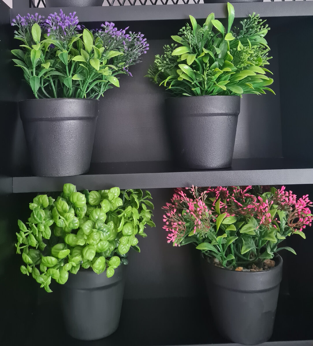 Фото для обложки