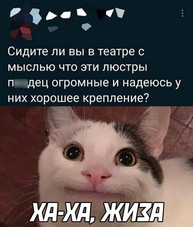 жиза